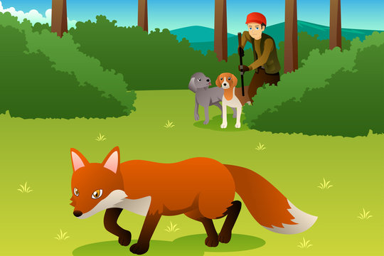 Hunter With His Dogs Hunting a Fox