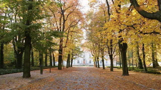 City park autumn scene, path in the park with golden trees, lots of leaves falling slowly, fall season,  Shot in Royal Lazienki Museum, Warsaw, Poland