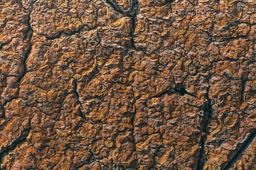 Texture of old mounting foam, clay and claydite