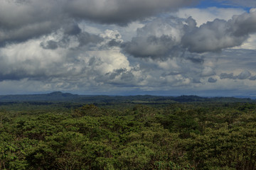 Fototapeta na wymiar Panoramic view over the amazon valley in ecuador