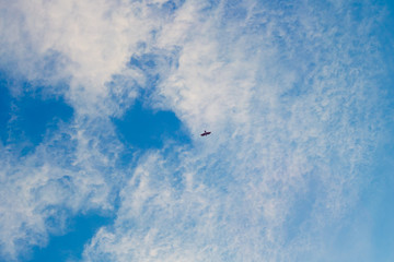 Bird flying to the sun, white clouds