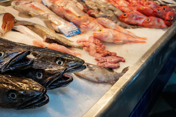 fresh fish and seafood on ice on market   table  