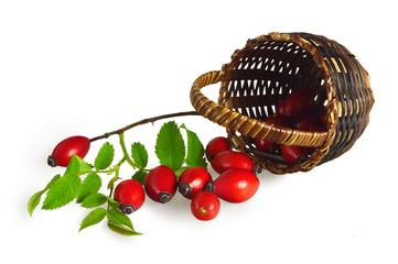 Rose hips in the basket isolated on white background