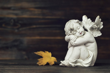 Guardian angel and autumn leaf