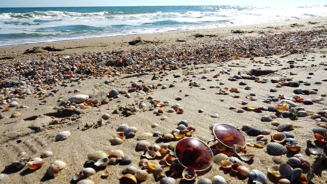 	Sunglasses on the sandy beach. Slow motion.