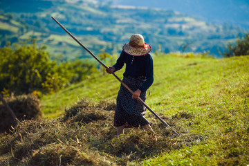 Old woman working on the field