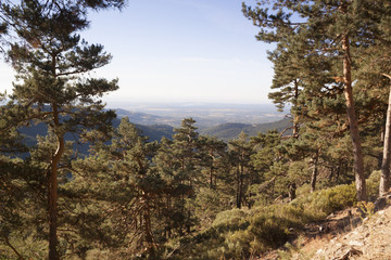 Fototapeta na wymiar The walk from Cercedilla to the peak of Aguila, Madrid, Spain. Panoramic Sierra de Guadarrama National Park. Sunrise views