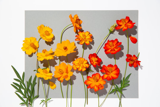 Orange and yellow flowers on grey sheet of paper