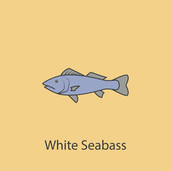 white seabass 2 colored line icon. Simple purple and gray element illustration. white seabass concept outline symbol design from fish set