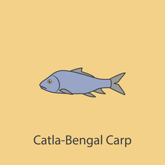 castka bengal carp 2 colored line icon. Simple purple and gray element illustration. castka bengal carp concept outline symbol design from fish set