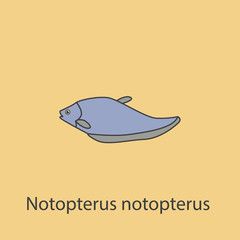 Notopterus 2 colored line icon. Simple purple and gray element illustration. Notopterus concept outline symbol design from fish set