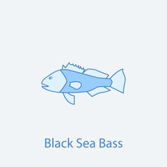 black sea bass 2 colored line icon. Simple light and dark blue element illustration. black sea bass concept outline symbol design from fish set
