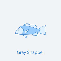 gray snapper 2 colored line icon. Simple light and dark blue element illustration. gray snapper concept outline symbol design from fish set