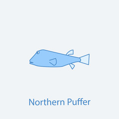 northern puffer 2 colored line icon. Simple light and dark blue element illustration. northern puffer concept outline symbol design from fish set