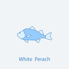 white perach 2 colored line icon. Simple light and dark blue element illustration. white perach concept outline symbol design from fish set