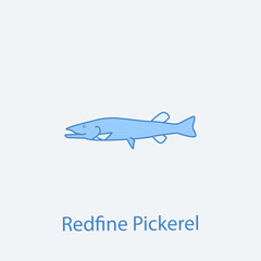 redfine pickerel 2 colored line icon. Simple light and dark blue element illustration. redfine pickerel concept outline symbol design from fish set