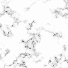 White marble background with natural stone texture.