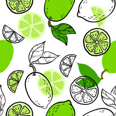 Fototapety  Piękny zielony, czarno-biały wzór bezszwowe doodle z ładny szkic limonki. Ręcznie rysowane modne tło. zaprojektuj tło kartki okolicznościowe, zaproszenia, tkaniny i tekstylia