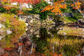 autumn leaves in park reflected in water