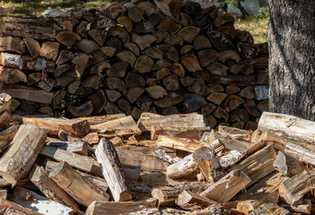 pile of logs