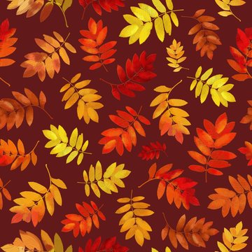 Autumn colorful leaves digitally painted on brown background 