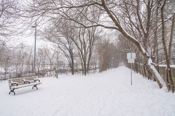 Fototapeta premium Winter snow storm in Toronto in February