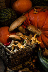 pumpkin mushroom and vegetables