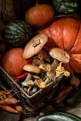 pumpkins and mushrooms
