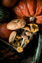 harvest of vegetables, pumpkins
