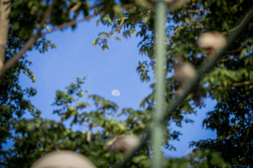 Moon background with bright sky, natural beauty.