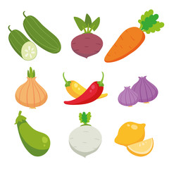 vegetable vector collection design