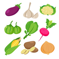 vegetable vector collection design