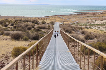 Kids running to the beach.