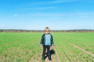 Naklejka na ściany i meble Portrait of adorable little girl standingat farm field.