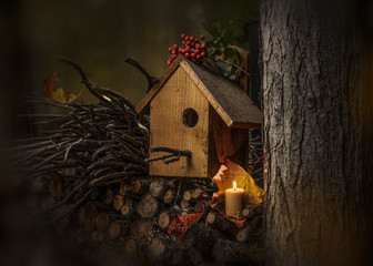 fall decorations with birdhouse and burning candle, rustic