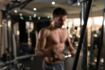Fototapeta na wymiar Man Exercising Triceps In The Gym Blurred