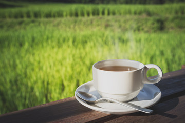 cup of hot tea in nature