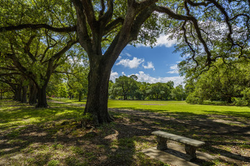Popular Audubon Park in New Orleans, Louisiana.