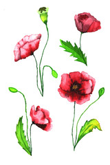 Red Watercolor Flowers