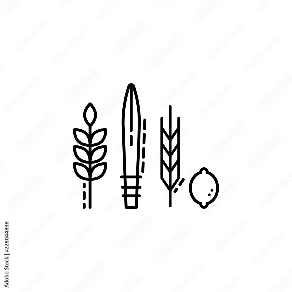 Poster four species icon. element of jewish icon for mobile concept and web apps. thin line four species ic