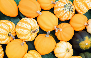 Fall gourd pumpkin decoration