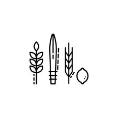 Four Species icon. Element of Jewish icon for mobile concept and web apps. Thin line Four Species icon can be used for web and mobile