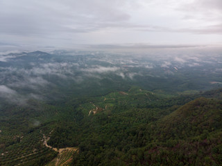 Fototapeta na wymiar Aerial view of nature scenery. An aerial shot of hill with cloudy and misty background.