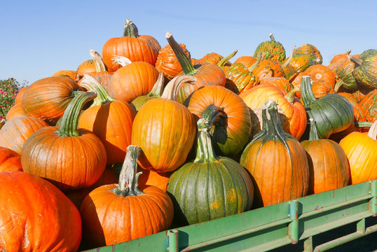 A wagon load of piled green and orange pumpkins on the farm