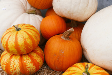 Stacks of orange,white and striped pumpkins