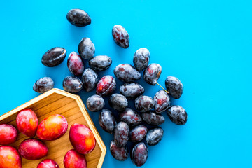 Plums on dinning table. Fresh raw red and blue plum in wooden tray on blue background top view copy space