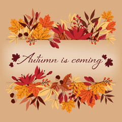 Autumn background with Autumn is coming text on autumn leaves frame.