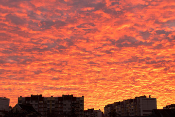 Fototapeta premium Beautiful crimson sunset . Purple cloudy sky