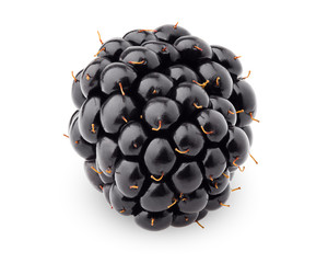 blackberry isolated on white background, clipping path, full depth of field