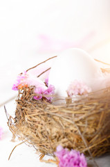 Egg in the nest with pink flowers and feather on white table